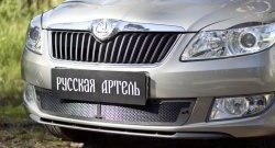 Защитная сетка решетки переднего бампера РА Skoda (Шкода) Fabia (Фабия)  Mk2 (2010-2014) Mk2 универсал рестайлинг, хэтчбэк рестайлинг