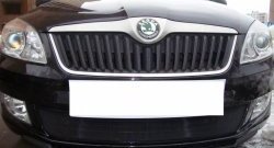 1 469 р. Сетка на бампер (рестайлинг) Russtal (черная) Skoda Fabia Mk2 хэтчбэк дорестайлинг (2007-2010)  с доставкой в г. Владивосток. Увеличить фотографию 4