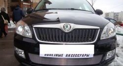 1 539 р. Сетка на бампер (рестайлинг) Russtal (хром) Skoda Fabia Mk2 хэтчбэк дорестайлинг (2007-2010)  с доставкой в г. Владивосток. Увеличить фотографию 2