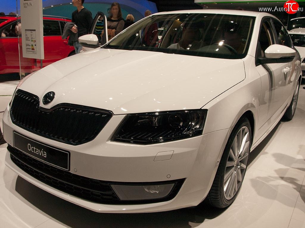 2 569 р. Сетка (для комплектации Ambition, Elegance) на бампер Russtal (черная) Skoda Octavia A7 дорестайлинг лифтбэк (2012-2017)  с доставкой в г. Владивосток