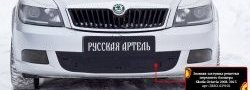 1 059 р. Зимняя заглушка решетки переднего бампера РА  Skoda Octavia  A5 (2008-2013) лифтбэк рестайлинг, рестайлинг универсал  с доставкой в г. Владивосток. Увеличить фотографию 2