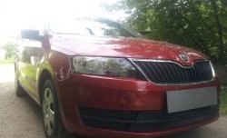 2 339 р. Сетка на бампер Russtal (черная)  Skoda Rapid ( NH3,  NH1) (2012-2017) дорестайлинг лифтбэк, хэтчбэк дорестайлинг  с доставкой в г. Владивосток. Увеличить фотографию 3