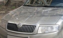 1 649 р. Реснички на фары CT Skoda Superb седан 3U дорестайлинг (2001-2006) (Неокрашенные)  с доставкой в г. Владивосток. Увеличить фотографию 2