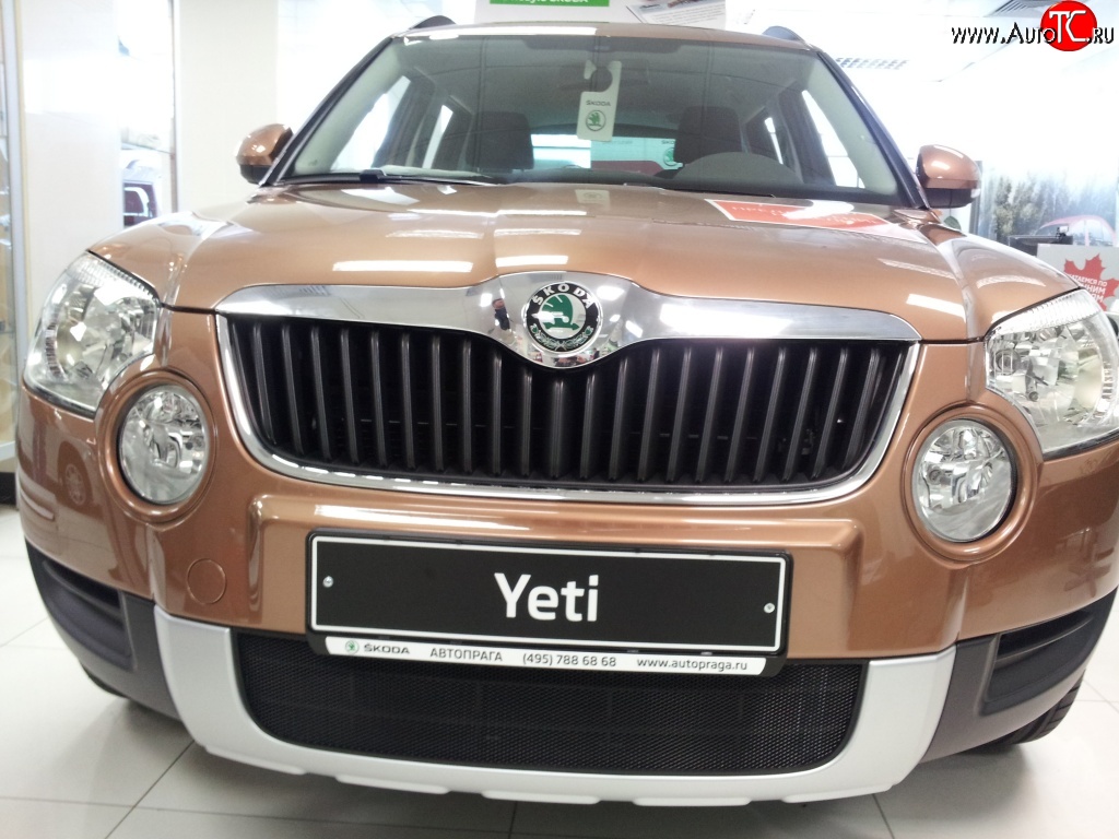 1 469 р. Сетка на бампер Russtal (черная)  Skoda Yeti (2009-2013)  с доставкой в г. Владивосток