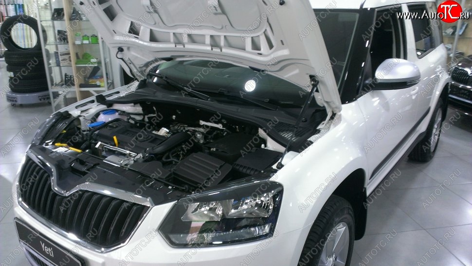 2 199 р. Газовый упор капота Berkut Skoda Yeti (2009-2013)  с доставкой в г. Владивосток