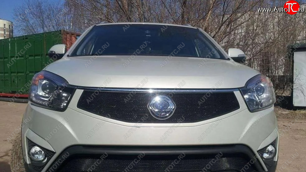 1 469 р. Защитная сетка в решетку радиатора Russtal  SSANGYONG Actyon (2013-2021) рестайлинг  с доставкой в г. Владивосток