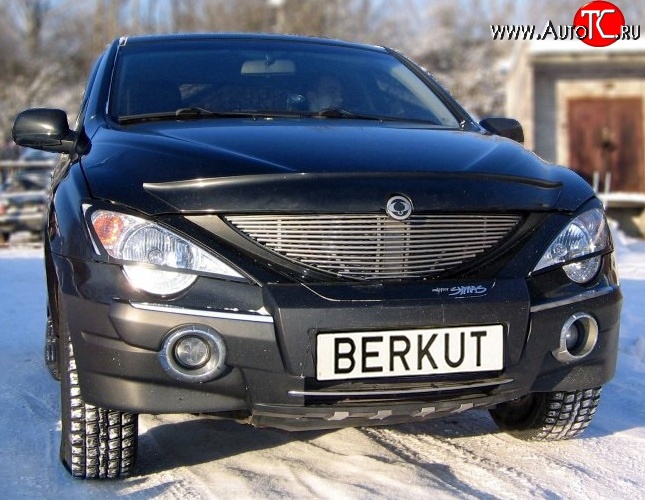 5 999 р. Декоративная вставка решетки радиатора Berkut SSANGYONG Actyon Sport (2006-2011)  с доставкой в г. Владивосток