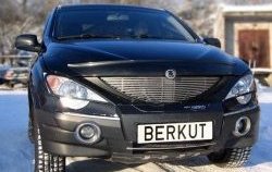 Декоративная вставка решетки радиатора Berkut SSANGYONG Actyon 1 (2006-2010)