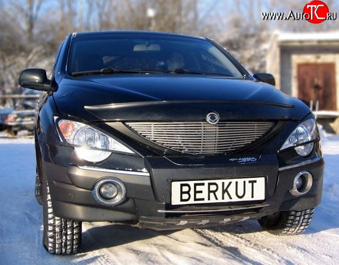 5 999 р. Декоративная вставка решетки радиатора Berkut SSANGYONG Actyon 1 (2006-2010)  с доставкой в г. Владивосток