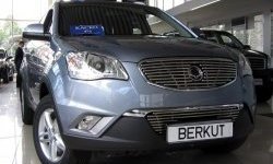 Декоративная вставка воздухозаборника Berkut SSANGYONG Actyon дорестайлинг (2010-2013)