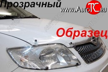 2 059 р. Защита фар (J120-J125) CA-Plastic  Toyota Land Cruiser Prado  J120 (2002-2009) (Classic прозрачный)  с доставкой в г. Владивосток