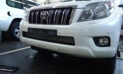 1 539 р. Сетка на бампер Russtal (хром) Toyota Land Cruiser Prado J150 дорестайлинг (2009-2013)  с доставкой в г. Владивосток. Увеличить фотографию 2