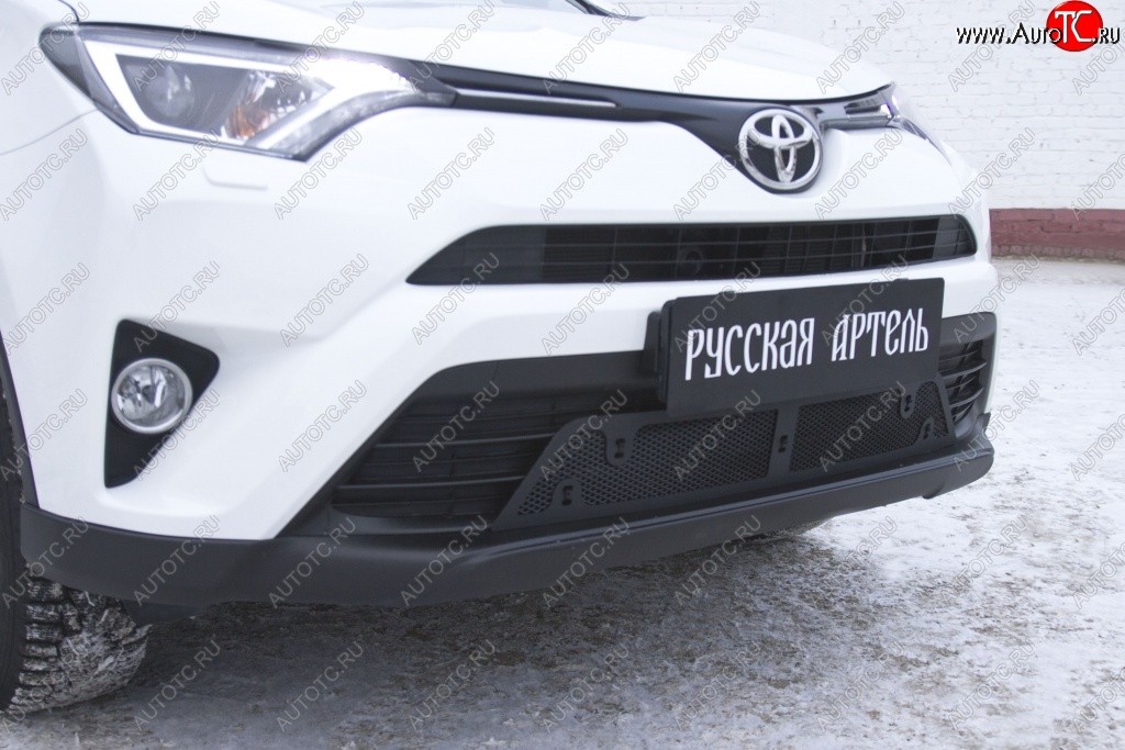 1 939 р. Защитная сетка решетки переднего бампера РА  Toyota RAV4  XA40 (2015-2019) 5 дв. рестайлинг  с доставкой в г. Владивосток