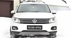 1 459 р. Зимняя заглушка решетки переднего бампера (Track & Field) РА Volkswagen Tiguan NF рестайлинг (2011-2017)  с доставкой в г. Владивосток. Увеличить фотографию 3